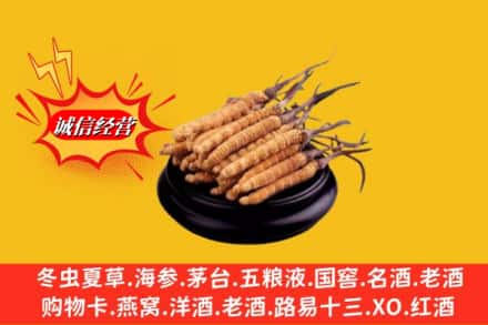 西工区求购回收虫草多少钱每克